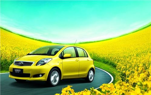 临沂阳光丰田教您夏季爱车小常识 清凉一夏，安全出行