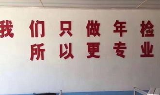 专业咨询与代理汽车年检/年审服务全解析